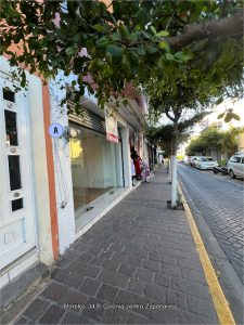 Locales en renta Zapotlanejo